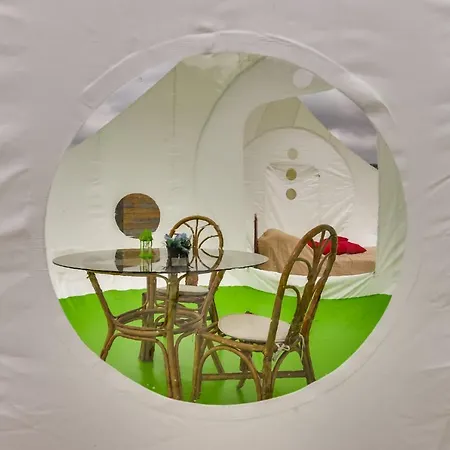 Bed & Breakfast Les Bulles De Fleury *